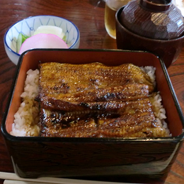 炭火焼　鰻正
